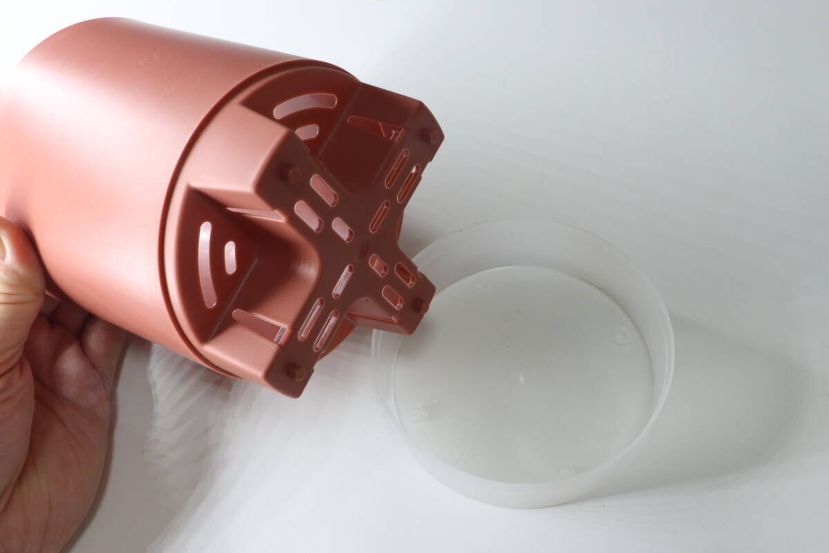 300円で良いの？「スーパーでも見たことないよ…」珍しいアレを育てるキット