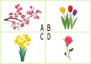 好きな花はどれ？「あなたの見栄っ張り度」がわかる【心理テスト】
