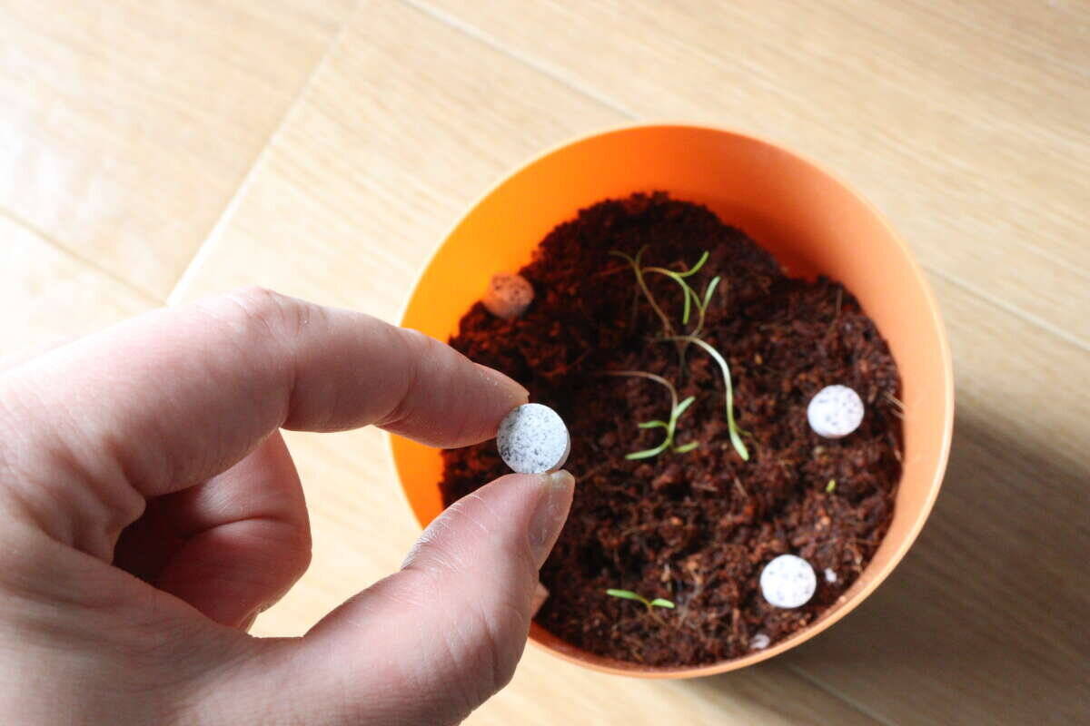 ダイソーのいいのあるよっ！「重くて場所とる…」って悩んでる人に教えたい！粒状の園芸グッズ