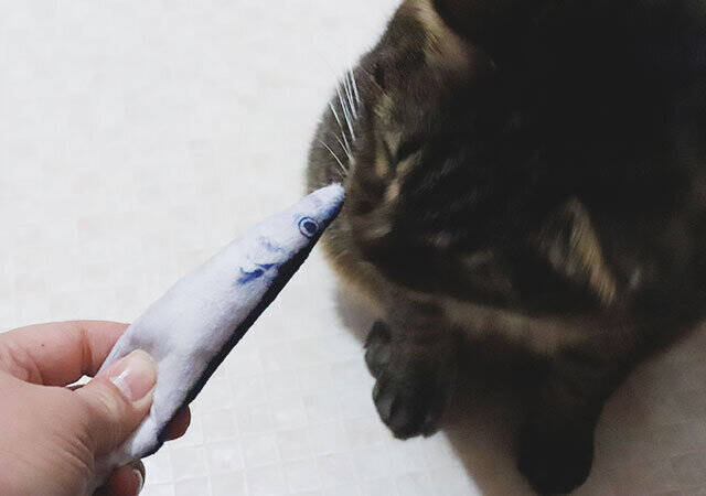 ダイソーに…サンマ？！100円なのによく出来てる♡デザインに一目惚れした商品