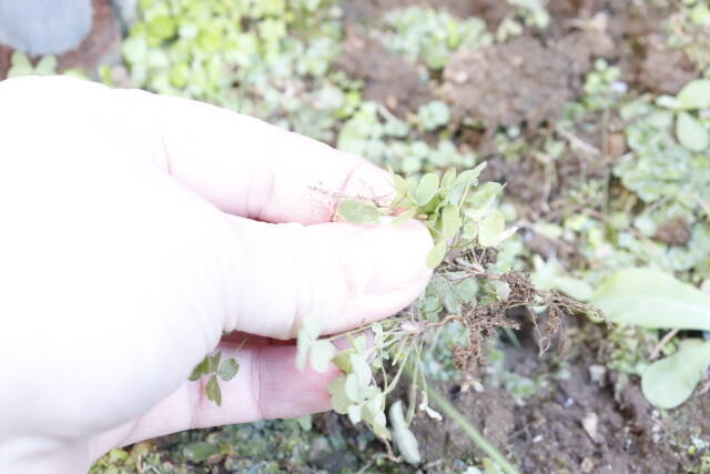 ダイソーで見つけてテンション上がった！手作業より圧倒的に楽♡振るだけで分別できる便利グッズ
