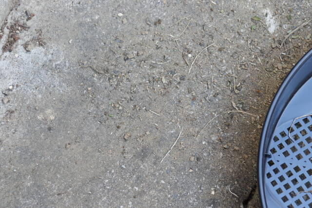 ダイソーで見つけてテンション上がった！手作業より圧倒的に楽♡振るだけで分別できる便利グッズ