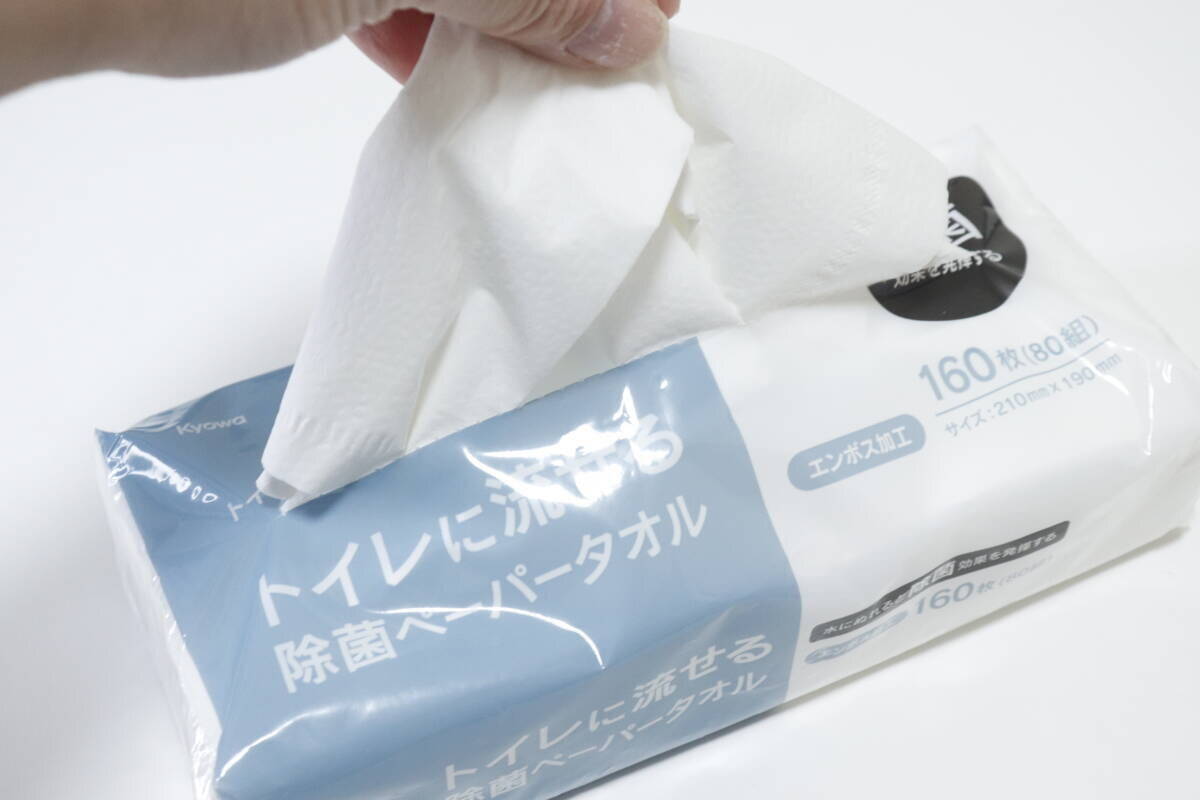 コスパと機能で選べば100均一択「週末のトイレ掃除にウンザリ…」って人に試してほしいシート