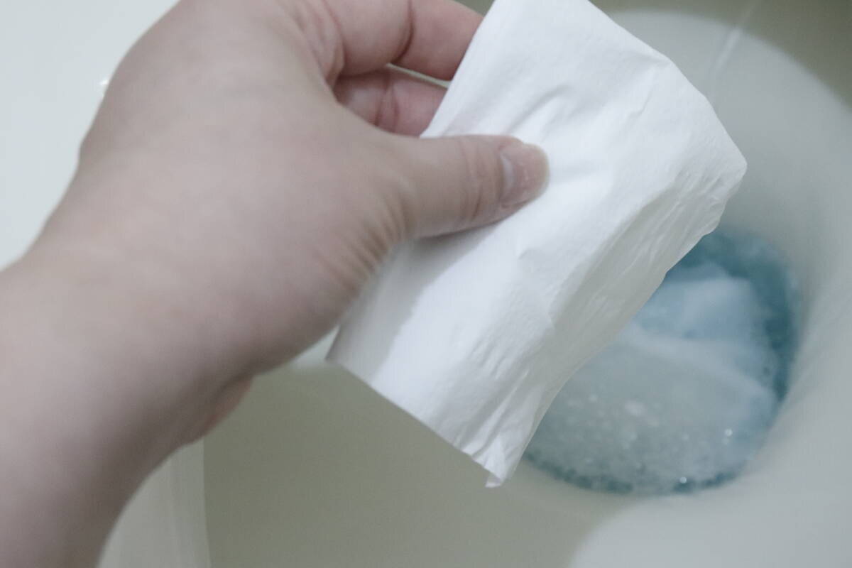 コスパと機能で選べば100均一択「週末のトイレ掃除にウンザリ…」って人に試してほしいシート