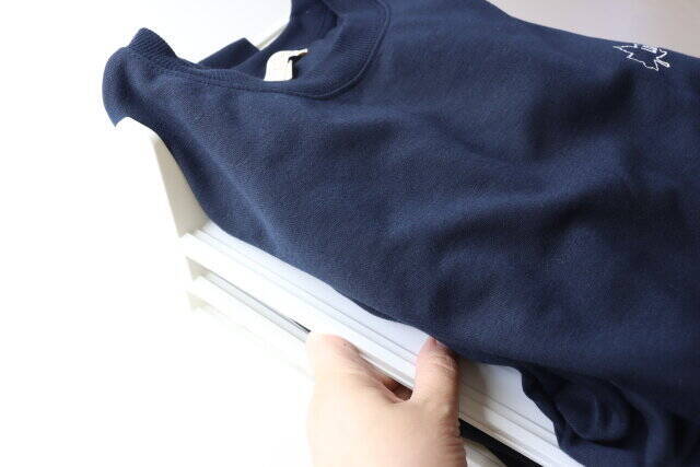 ダイソーからまたバズりそうな商品出た！取り出すとぐちゃぐちゃ…収納の悩みを解決するトレー