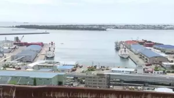 静岡市清水の第1波到達は午後1時頃予想　沼津市「避難指示」、下田市「高齢者等避難」を発令