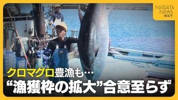 クロマグロ豊漁続くも“漁獲枠の拡大”合意至らず　「やっぱりか…」漁師からは“諦めの言葉”もマグロ放流による損害大きく「かなり痛手」新潟・佐渡市
