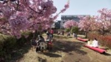 2月最終日は各地で“ポカポカ陽気”　早咲き桜・菜の花・椿まつり・城イベント…全国で“春先取り”の光景