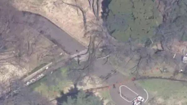 砧公園で“10メートル超の桜”が倒木　70代女性が下敷きに　女性は病院搬送も軽傷　倒木の原因は不明　東京・世田谷区