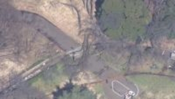 砧公園で倒木　70代女性が下敷きに　女性は病院搬送も軽傷　倒木の原因は不明　東京・世田谷区