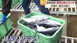 「「次元が違うぐらい食感が違う！」１００匹に１匹だけ認められる愛媛県愛南町“幻のカツオ”「びやかつお」とは？【愛媛発】」の画像1
