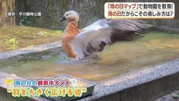 雨の日だからこそ楽しめる──鹿児島の「梅雨スポット」を歩く