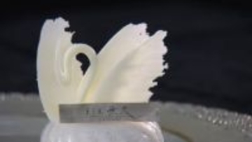 繊細な「白鳥」はチョコレート！人気ケーキは光で照らすと透けるほど超薄な「翼」を装飾  世界新三大夜景を見ながら唯一無二のケーキで“幸せ”を提供する新店