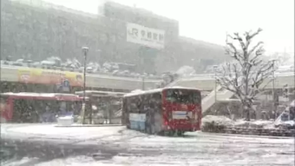 真冬並みの寒さに逆戻り　都心でも雪…23区に積雪の恐れ　栃木県に大雪警報　宇都宮市は3月に21年ぶり積雪12cm