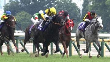 【春のマイル王決定戦 安田記念・G1】　マイル王不在で混戦必至か！？そして波乱を巻き起こす穴馬候補は…