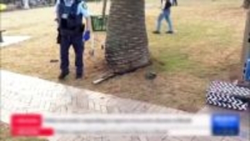 「容疑者は父と息子」シドニー15人死亡銃撃　ユダヤ教の「ハヌカ」イベント中で首相「悪意に満ちた反ユダヤ主義」