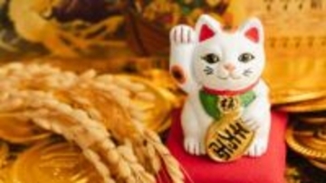 きょう3月5日は“最強開運日”で役所は婚姻届「窓口混雑」注意呼びかけも　天赦日・一粒万倍日・寅の日・大安重なる「四重吉日」