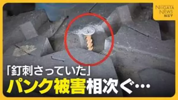 「釘刺さっていた」花見客でにぎわう中“タイヤのパンク”相次ぐ…7台の車が被害に「タイヤ新しくしたばかり…残念」