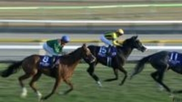 【ジャパンカップ・GⅠ】これが世界No.1ホースの実力！カランダガンが衝撃的タイムで外国馬20年ぶり制覇！