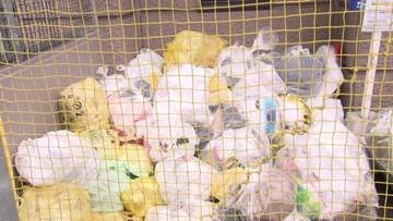【ごみ回収現場に変化】無料ごみ袋解禁から1週間あまり…約8割が指定外の透明・半透明の袋に＿量も前年から約5％増『プラスチックごみの分別』せずに出している可能性も“マナー”徹底呼びかけ〈北海道札幌市〉
