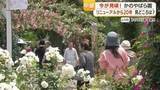 「鹿屋かのやばら園「1000種・2万5千株」春のバラ祭り　リニューアル20周年企画「同伴者何人でも無料」が話題」の画像1