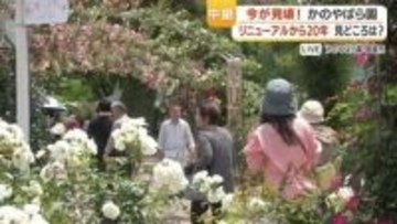 鹿屋かのやばら園「1000種・2万5千株」春のバラ祭り　リニューアル20周年企画「同伴者何人でも無料」が話題