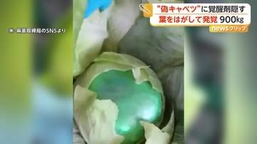 “キャベツ”の葉っぱ剥がすと「覚醒剤」　約900キロのメタンフェタミンを押収　緑色の小包に隠し密輸か　アメリカ