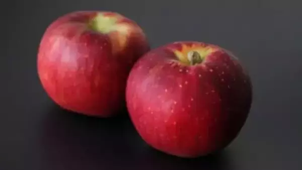 「ふじ」と「サンふじ」の違いを知ってる？代表的なりんごの品種の特徴とビジュが可愛い「りんごのローズパイ」