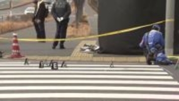 「事故を起こした記憶ない」横断歩道で交通誘導の81歳女性死亡　ダンプカーでひき逃げ…73歳男逮捕　微量アルコール検出　東京・江東区