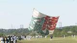 「「相模の大凧まつり」で縦横14.5メートル・畳128畳分・重さ1トン近くの日本一の凧が空高く舞う　神奈川・相模原市」の画像1