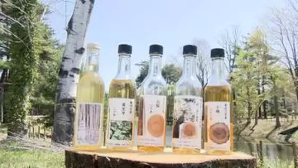 世界初“木のお酒”木の種類・産地・樹齢で味や風味が変化　間伐材を有効活用　林業活性化の一助になるか