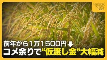 【JA仮渡し金】一般コシヒカリ 前年から“1万1500円”下がり1万8500円に　“過去に例のない需給緩和”で大幅減　JA全農にいがた