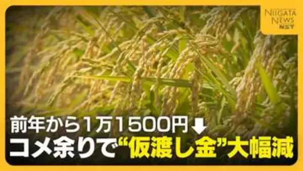 【JA仮渡し金】一般コシヒカリ 前年から“1万1500円”下がり1万8500円に　“過去に例のない需給緩和”で大幅減　JA全農にいがた