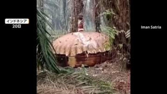 “UFO”墜落？インドネシアで騒然　直径4メートル円盤状の物体　ブルネイで目撃の発光物体含め中国ロケットの残骸か
