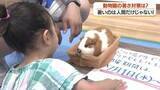 「熱中症対策で動物園が変わった　屋内でウサギと触れ合い・スタッフ全員にファン付き作業服　鹿児島・平川動物公園」の画像1