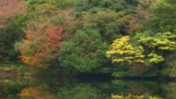 絵画のような美しさ！雲仙の紅葉は12月上旬まで 地元住民の支えで続く“秘湯500円” 移住した夫婦が営む“喫茶店” 冬だって楽しい！雲仙散策