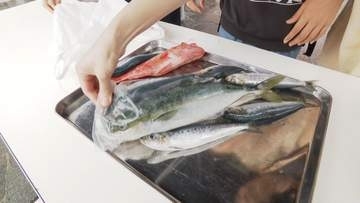 “1000円”で魚詰め放題に大行列　ブリやタイなど高級魚も　制限時間は70秒　赤字覚悟で開催　東京・豊洲