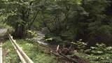 「魚釣りに訪れた男性がクマに襲われケガ　群馬県みどり市の椀名条山」の画像1