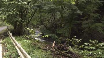 魚釣りに訪れた男性がクマに襲われケガ　群馬県みどり市の椀名条山