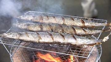 サンマの卸値「去年の3.3倍」　旬なのに扱わない鮮魚店も　秋限定・サンマカレーの飲食店も“悲鳴”