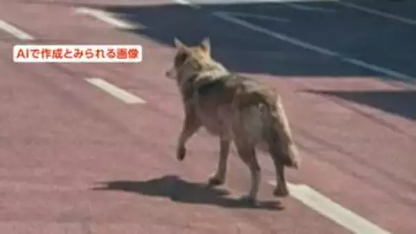 テーマパークから脱走したオオカミ画像　1枚が“AI作成のフェイク”か　消防「画像の真偽を確認する余裕がなかった」　韓国