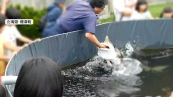 再生6000万回…チョウザメの“腕ガブ”ショー動画が大バズり　歯はないが…「痛いときは痛い」北海道・標津町