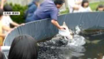 再生6000万回…チョウザメの“腕ガブ”ショー動画が大バズり　歯はないが…「痛いときは痛い」北海道・標津町
