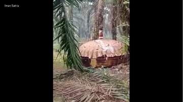 インドネシアで“UFO騒動”　農園で円盤状の金属片発見　中国のロケットの残骸か