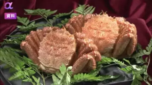 年収1億円以上の高所得者「ふるさと納税」控除額上限設定へ　“金持ち優遇”指摘に政府・与党見直し検討　2027年寄付から適用へ