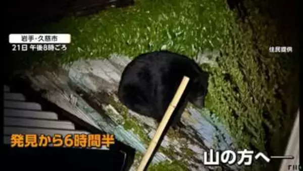「くわえて食べたみたい」飼い猫襲うクマ　屋根の上に6時間半居座り　サファリパーク周辺に出没　クマよけスプレー不足の懸念も