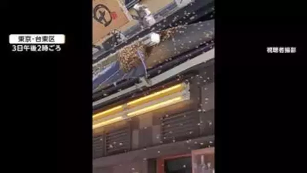 ゴールデンウイークの浅草で“ミツバチ”大量発生　人気居酒屋めがけて…観光地が騒然　一時、営業ストップの近隣の店も