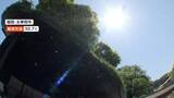 「季節外れの暑さ　全国で真夏日続出　遊園地では“わんこプール”　仙台「すずめ踊り」もにぎわう」の画像1