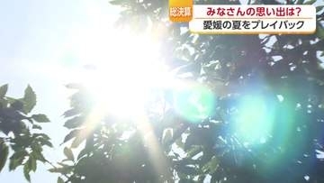 花火！祭り！かき氷に、四国カルスト　夏は楽しいイベントがいっぱい　それでも暑かった“愛媛２０２６年の夏を総ざらい”【愛媛発】