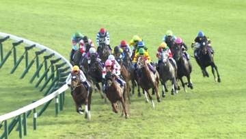【秋G1開幕戦 スプリンターズステークス】夏の王者岩田望来騎手がピューロマジックを短距離王に導く